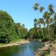 71- La riviere conduisant au hameau de Hakaui 